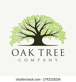 Oak Banyan tree logo design. Tree of life logo design inspiration