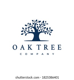 Diseño del logo del árbol de roble Banyan. Inspiración en el diseño del logotipo del árbol de la vida