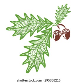 Oak branch with acoms vector illustration