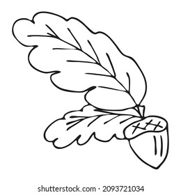 oak branch with acorn isolated. Boho style concept in black and white  for invitation, greeting card,  branding, logo, label, coloring book page. Line art. Vector illustration. 
