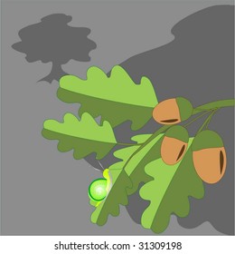 oak branch with acorn and snail