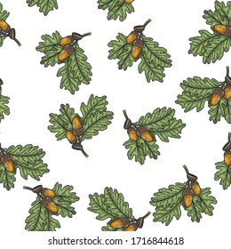 Oak branch with acorns color seamless pattern background sketch engraving vector illustration. T-shirt apparel print design. Scratch board imitation. Black and white hand drawn image.