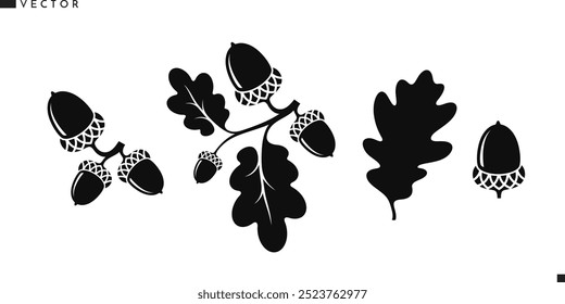 Oak branch with acorns icon set. Vintage style vector. Isolated acorns with leaves on white background. Oak tree silhouette