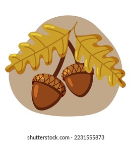 Oak branch with acorns and leaves. Flat vector illustration. Two acorns on branch isolated.