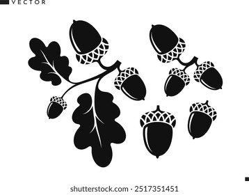 Oak branch with acorns silhouette. Oak tree vector. Isolated acorns with leaves on white background. Vintage style sign