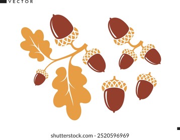 Oak branch with acorns silhouette. Oak tree vector. Isolated acorns with leaves on white background. Bright autumn. Vintage style