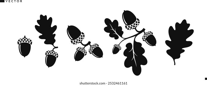 Oak branch with acorns silhouette. Vintage style vector. Oak tree vector.  Isolated acorns with leaves on white background