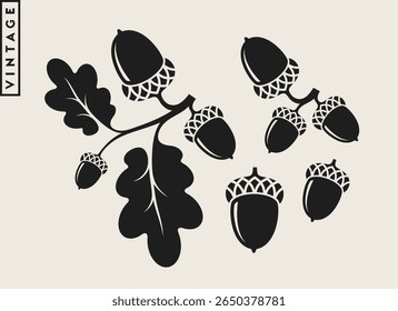 Ramo de carvalho com silhueta de bolotas. Bolotas estilo vintage com folhas em fundo cinza