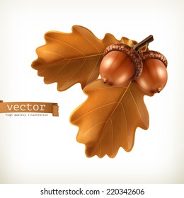 Rama de roble con bellotas, ilustración vectorial