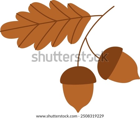 Oak Branch With Acorns Vector Illustration