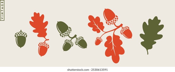 Oak branch with acorns vintage style.  Bright season vector. Isolated oak leaves with acorns silhouette