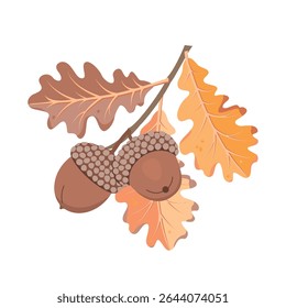 Ramo de carvalho com folhas e bolotas. Objetos naturais de outono sobre fundo branco. Cores amarelas e marrons. Projeto de vetor botânico para uso em banner, cartão, padrão. Ilustração de desenho animado.