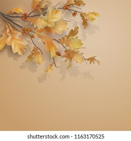 Oak branch with leaves and acorns on white background. Vector autumn illustration