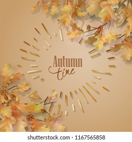 Oak branch with leaves and acorns on white background. Vector autumn illustration