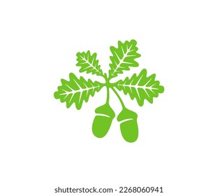 Oak, oak branch with leaves and acorns, silhouette and graphic design. Plant, nature, foliage, leaf, nut and seed, vector design and illustration