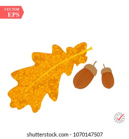 Oak branch with leaves and acorns. Vector illustration. eps