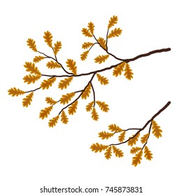 Oak branch on a white background. There are yellow autumn leaves in the picture. It can be used as a design element. Vector illustration