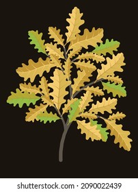 oak branch, yellow leaves, autumn, vector illustration