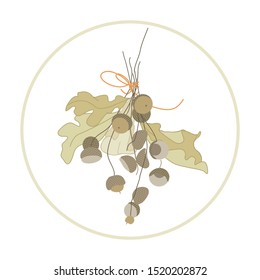 
Oak branches with acorns. Dry autumn leaves. Oak seeds. Vector botanical illustration.