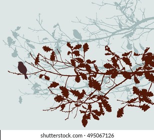 oak branches in the autumn