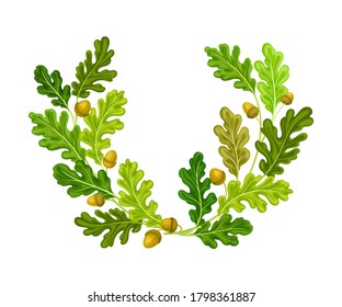 Oak Branches with Green Leaves and Acorns Arranged in Semi Circle Vector Illustration