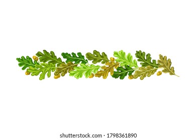 Oak Branches with Green Leaves and Acorns Arranged in Line Vector Illustration