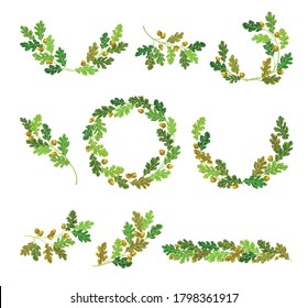 Oak Branches with Green Leaves and Acorns Arranged in Wreath and Semi Circle Vector Set