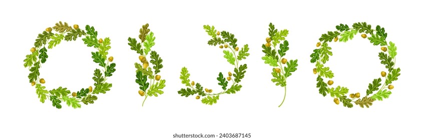 Oak Branches with Green Leaves and Acorns Arranged in Wreath Vector Set