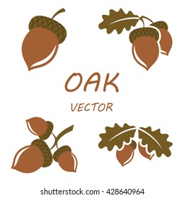 Oak in flat style. Isolated object. Vector illustration. Oak on white background