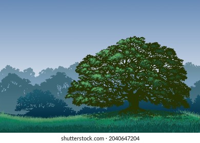 Oak forest Landscape Vector. Silhouettes of nature illustration use for background, etc.