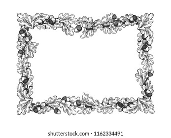 oak frame engraving vector illustration. Scratch board style imitation. Hand drawn image.