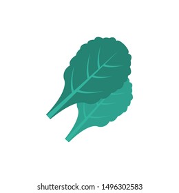 oak glyph flat vector icon