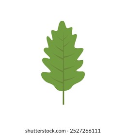 oak green leaf icon vector logo design isolated on white background