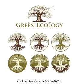 Oak Green Nature Tree Ecology Logo Template