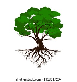 Oak A Green Tree With Roots And Leaves. Vector Illustration Icon Isolated On White Background.