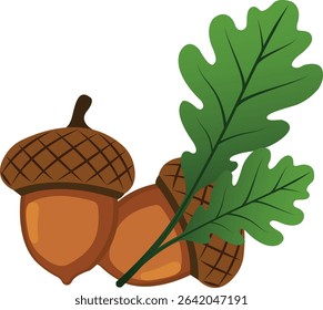 An oak is a hardwood tree or shrub in the genus Quercus of the beech family. They have spirally arranged leaves, often with lobed edges, and a nut called an acorn, borne within a cup.