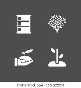 oak icon. 4 oak set with tree and barrel vector icons for web and mobile app