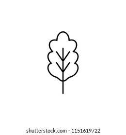 oak icon. Element of nature icon for mobile concept and web apps. Thin line oak icon can be used for web and mobile