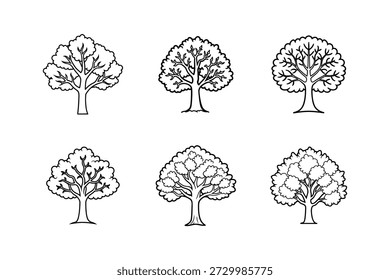 Ilustración vectorial de arte de línea de icono de roble aislada