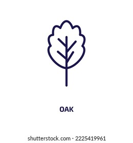 icono de roble de la colección de naturaleza. Roble lineal delgado, eco, icono de contorno ecológico aislado en fondo blanco. Signo de roble vectorial de línea, símbolo para web y móvil