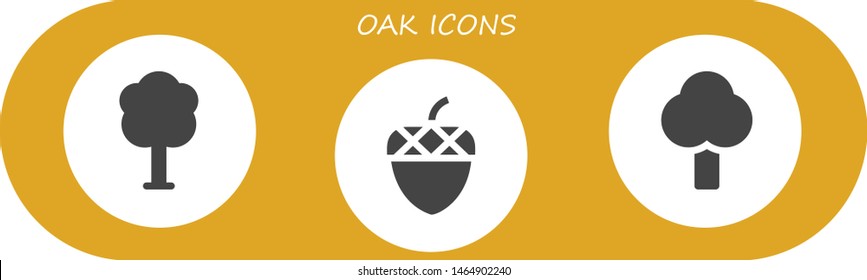 oak icon set. 3 filled oak icons.  Simple modern icons about  - Tree, Acorn