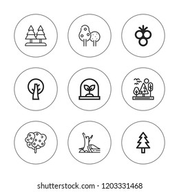 Oak icon set. collection of 9 outline oak icons with rowan, spideroak, tree icons. editable icons.