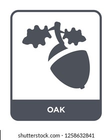 oak icon vector on white background, oak trendy filled icons from Nature collection, oak simple element illustration