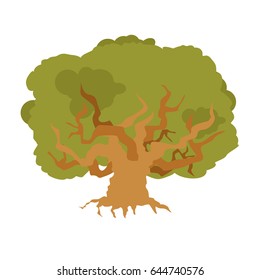 Oak isolated. large old tree. Huge bush