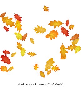 Oak leaf abstract background seasonal vector illustration. Autumn leaves falling graphic design. Fall season specific vector background. Oak tree autumn foliage on white.