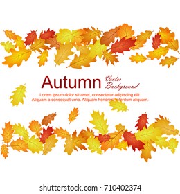 Oak leaf abstract background seasonal vector illustration. Autumn leaves falling graphic design. Fall season specific vector background. Oak tree autumn foliage on white.