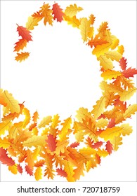 Oak leaf abstract background seasonal vector illustration. Autumn leaves falling graphic design. Fall season specific vector background. Oak tree autumn foliage on transparent.