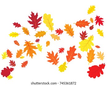 Oak leaf abstract background seasonal vector illustration. Autumn leaves falling graphic design. Fall season specific vector background. Oak tree autumn foliage on white.