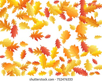 Oak leaf abstract background seasonal vector illustration. Autumn leaves falling graphic design. Fall season specific vector background. Oak tree autumn foliage on white.
