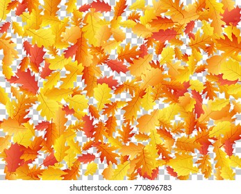 Oak leaf abstract background seasonal vector illustration. Autumn leaves falling graphic design. Fall season specific vector background